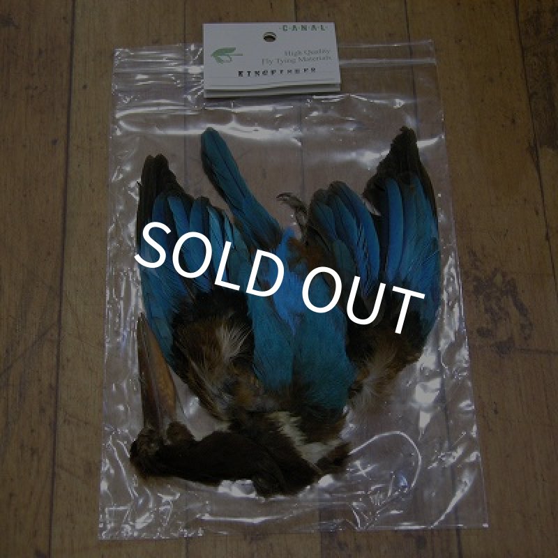 画像1: 【CANAL】 KINGFISHER コンプリート (1)