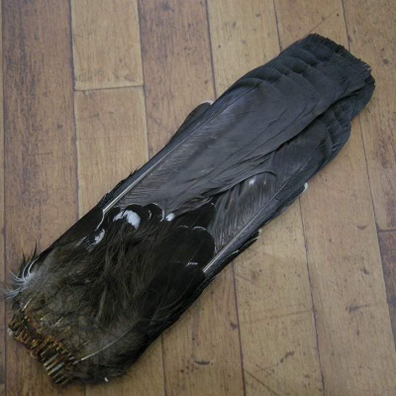 画像2: カペカリー・コンプリートテール