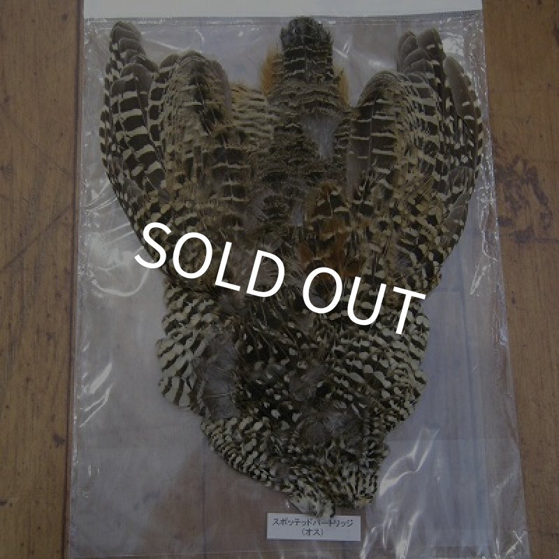 画像1: スポッテッドパートリッジ・コンプリート (1)