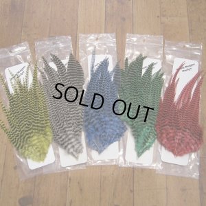 画像1: 【Ewing】 Grizzly Wooly Bugger Packet