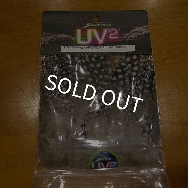 画像1: 【Spirit River】 UV2 Strung Large Eye Guinea (1)