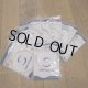 【Salmologic】 Logic Leader(Int)(SALE)