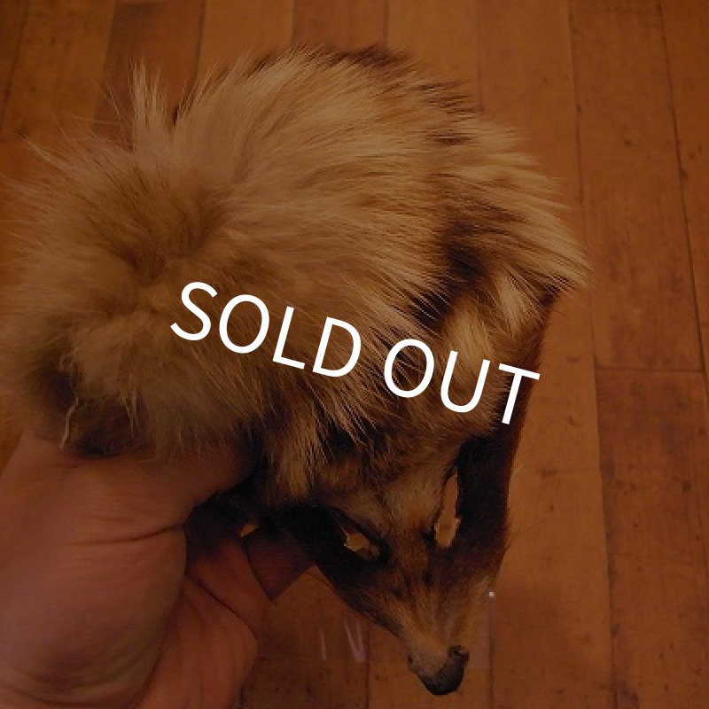 画像2: 【TORNADO】フォックスマスク　（ナチュラルバジャー） (2)