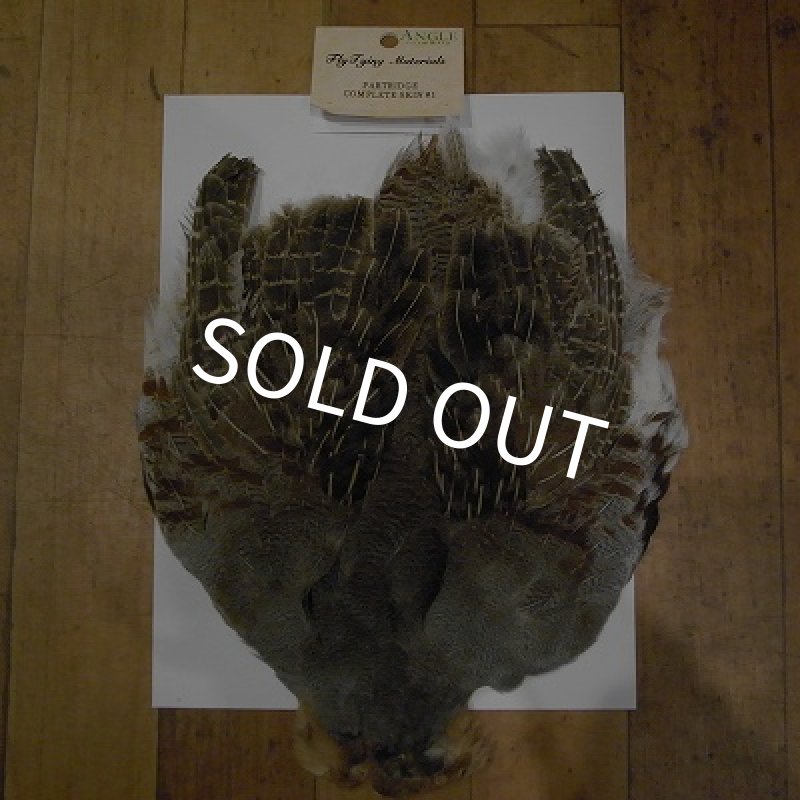 画像1: 【ANGLE】 Partridge Complete Skin　＃1 (1)