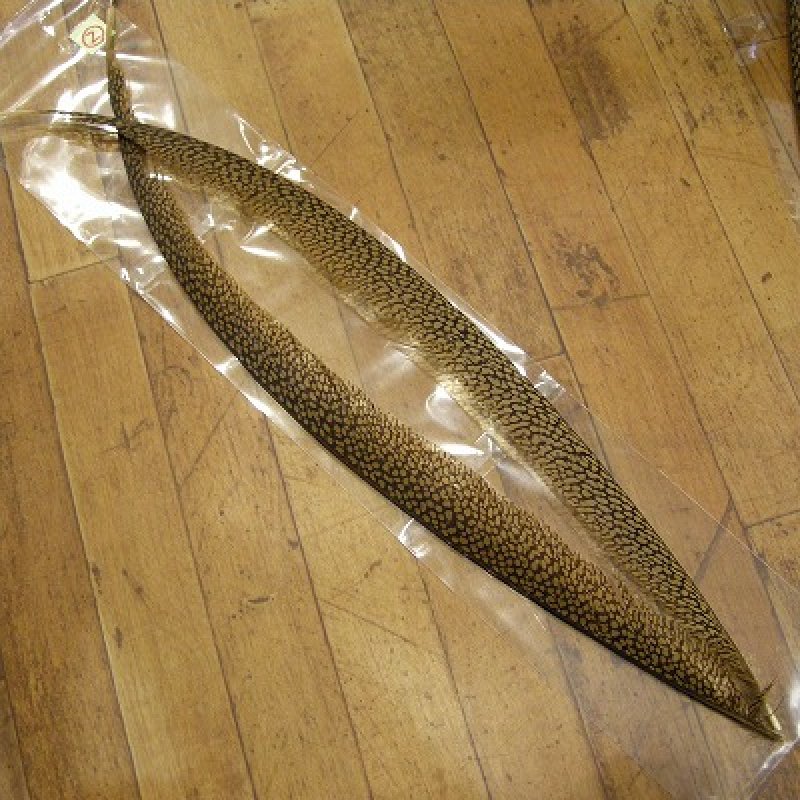 画像2: Golden Pheasant Tail  1ペア