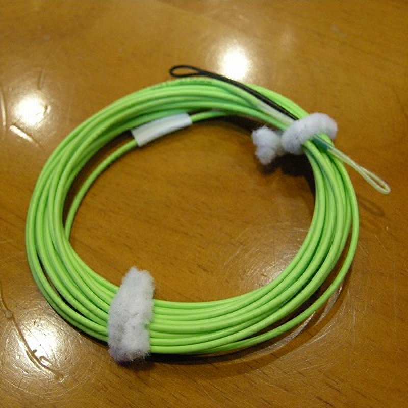 画像2: 【Airflo】Skagit Scout(SALE)