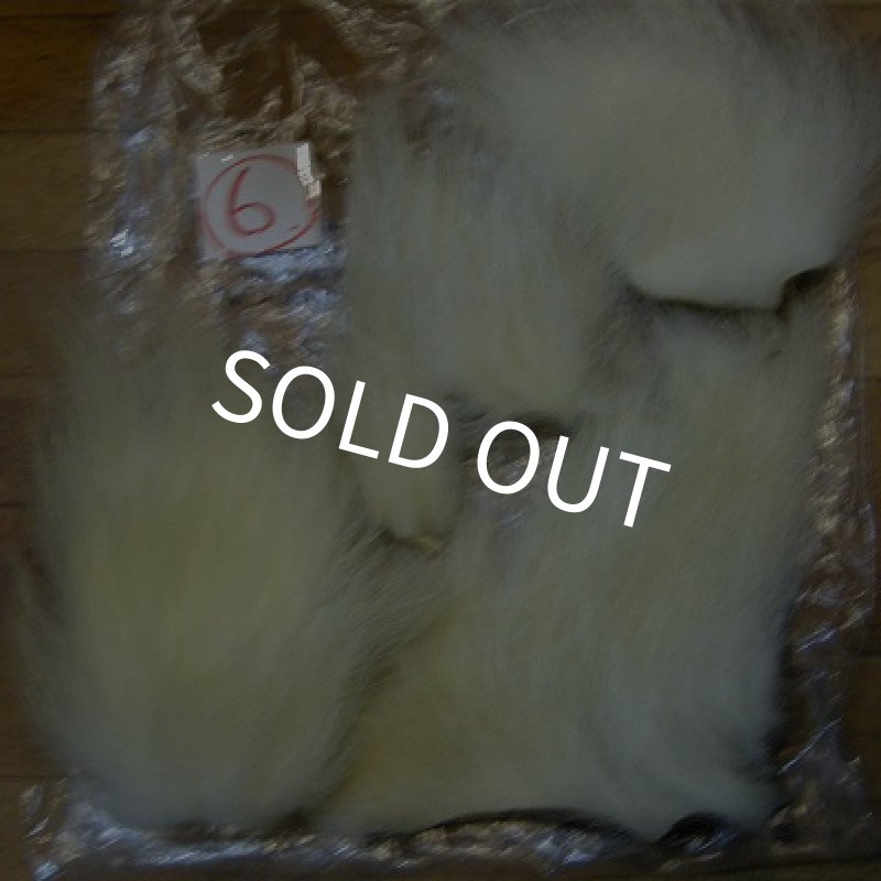 画像1: ポーラーベアー（徳用パック）(6) (1)