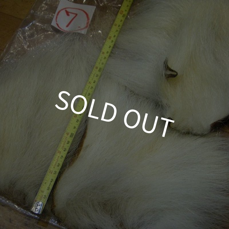 画像2: ポーラーベアー（徳用パック）(7) (2)