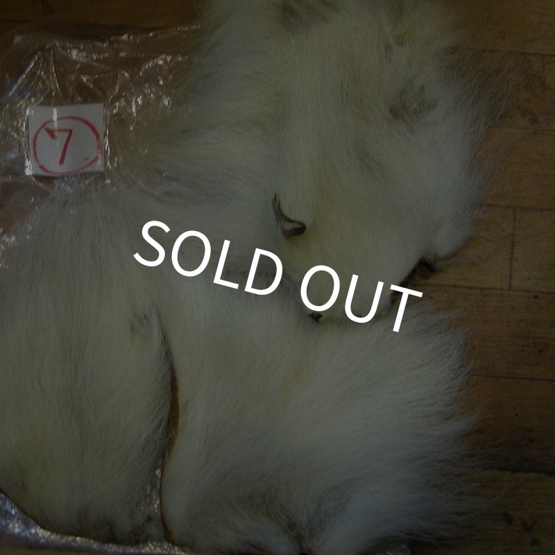 画像1: ポーラーベアー（徳用パック）(7) (1)