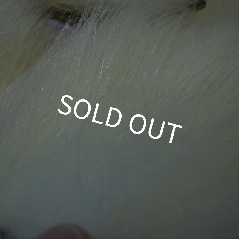 画像4: ポーラーベアー（徳用パック）(1) (4)