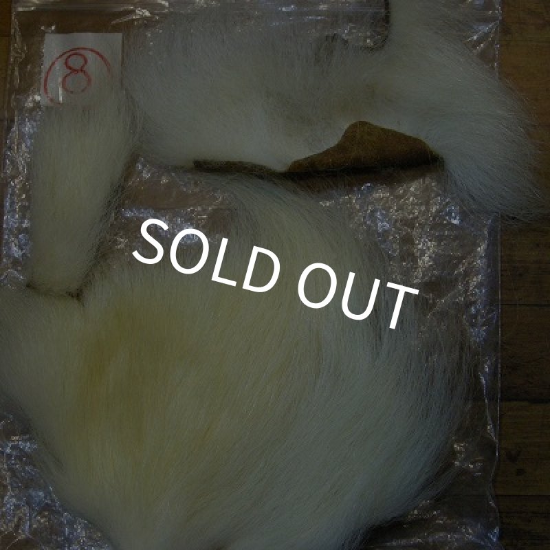 画像1: ポーラーベアー（徳用パック）(8) (1)