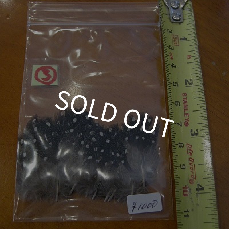 画像4: Vulturine Gallena Body Feathers (4)