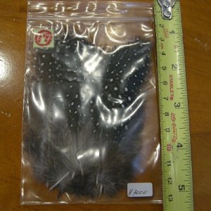 画像18: Vulturine Gallena Mantle Feathers