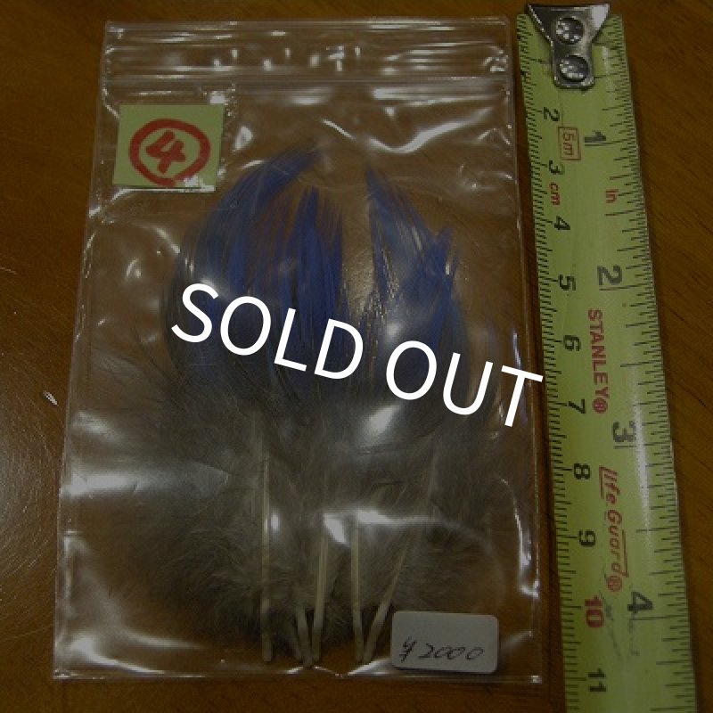 画像7: Vulturine Gallena Blue Neck Feathers  (7)