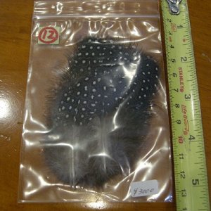 画像13: Vulturine Gallena Mantle Feathers