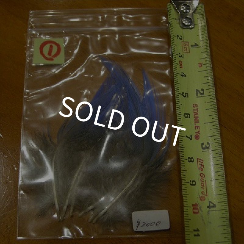 画像4: Vulturine Gallena Blue Neck Feathers  (4)