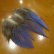 画像2: Vulturine Gallena Blue Neck Feathers 
