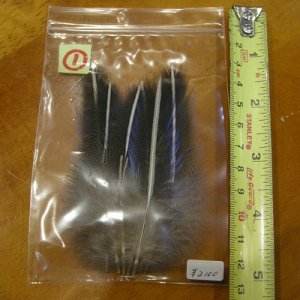 画像2: Vulturine Gallena Blue Elver Hackles Mサイズ  