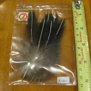 画像4: Vulturine Gallena Speckled Elver Hackles