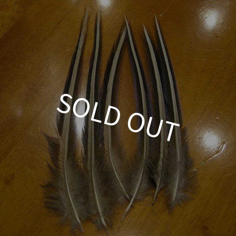 画像1: Vulturine Gallena Blue Elver Hackles XLサイズ   (1)