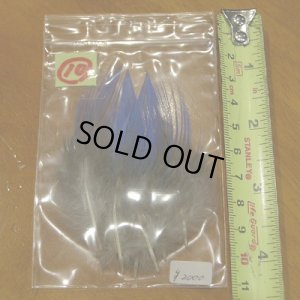 画像13: Vulturine Gallena Blue Neck Feathers 