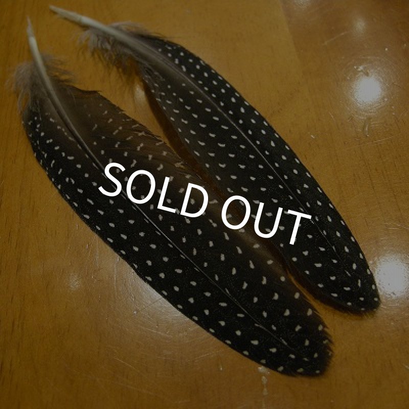 画像2: Vulturine Gallena Tail Feathers  (2)