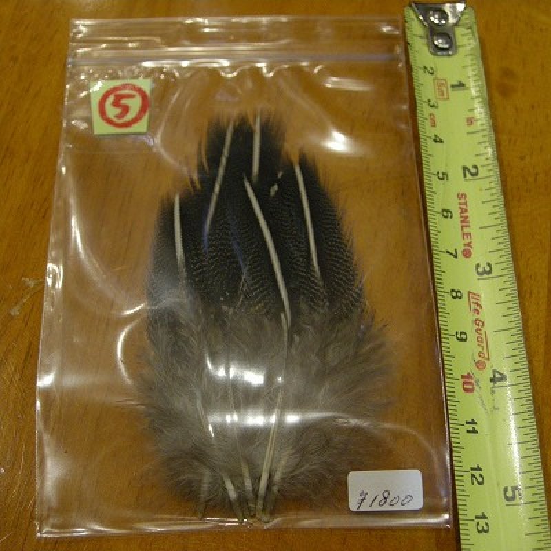画像7: Vulturine Gallena Speckled Elver Hackles (7)