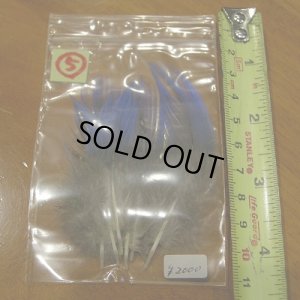 画像8: Vulturine Gallena Blue Neck Feathers 