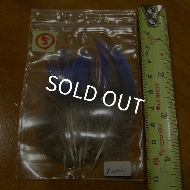 画像8: Vulturine Gallena Blue Neck Feathers  (8)