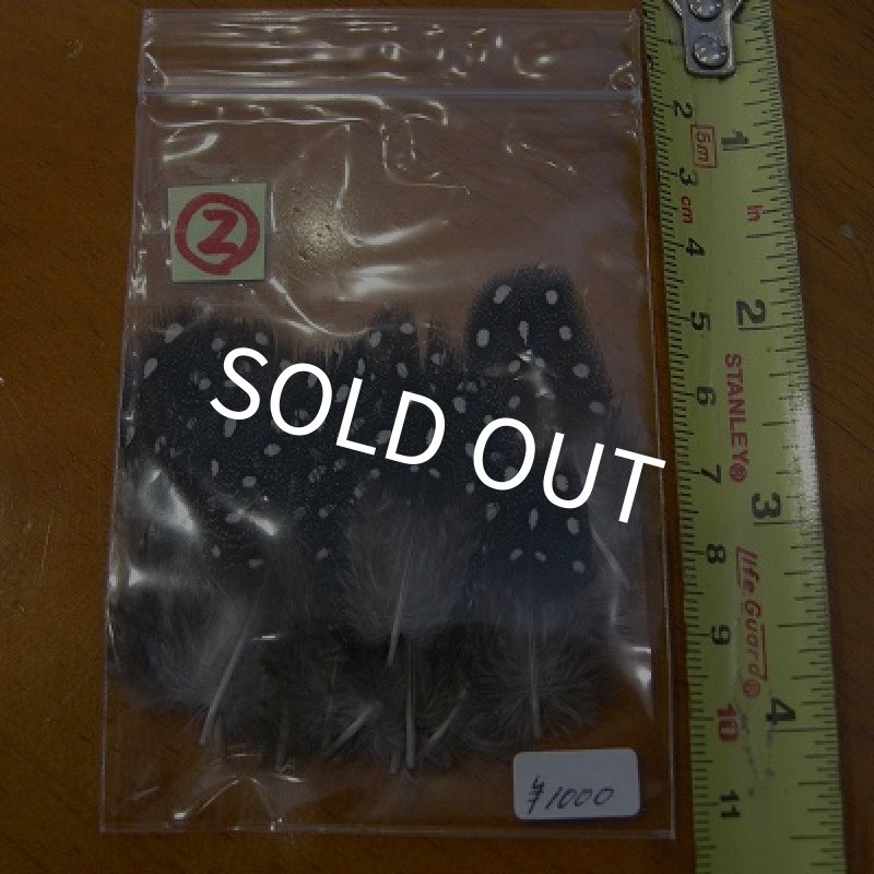 画像3: Vulturine Gallena Body Feathers (3)