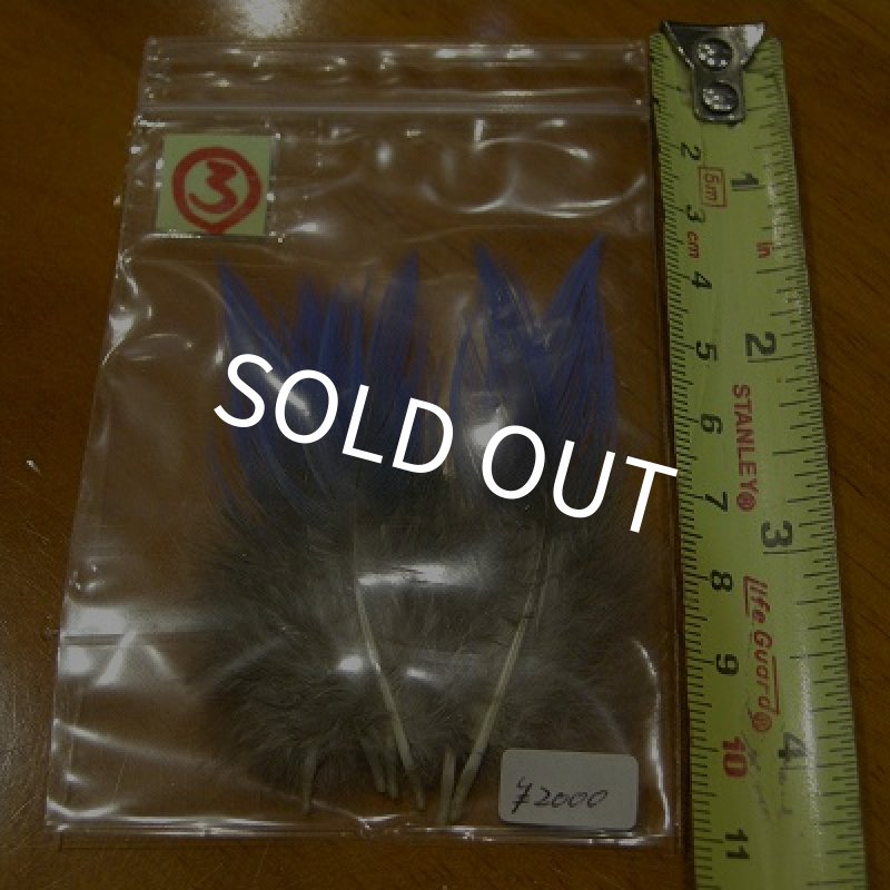 画像6: Vulturine Gallena Blue Neck Feathers  (6)