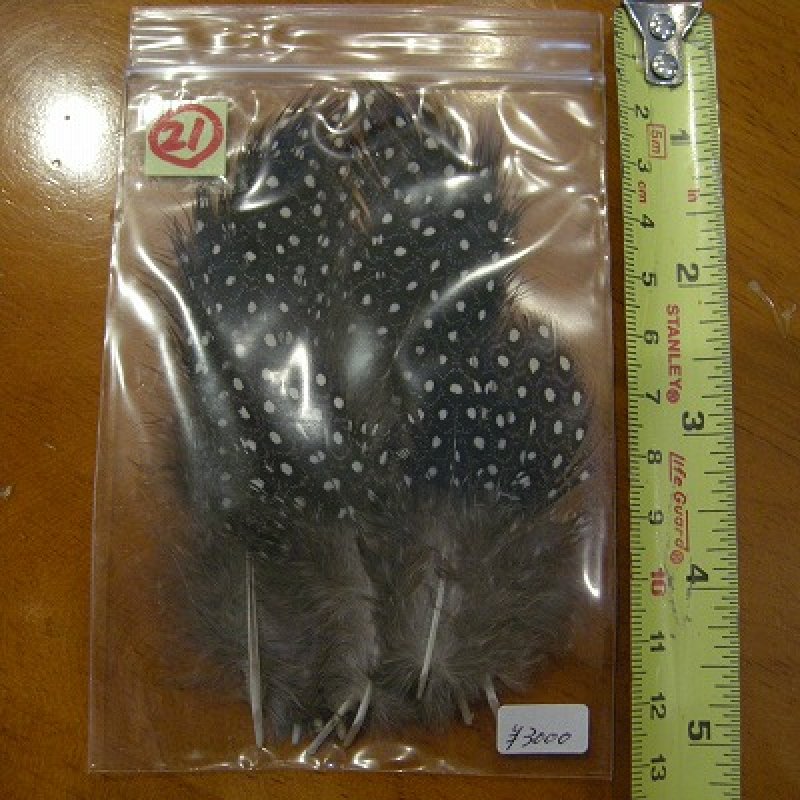 画像2: Vulturine Gallena Mantle Feathers