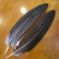 画像1: Vulturine Gallena Wing Quills  (1)