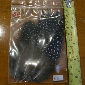 画像17: Vulturine Gallena Mantle Feathers