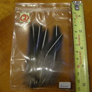 画像3: Vulturine Gallena Blue Elver Hackles Mサイズ  