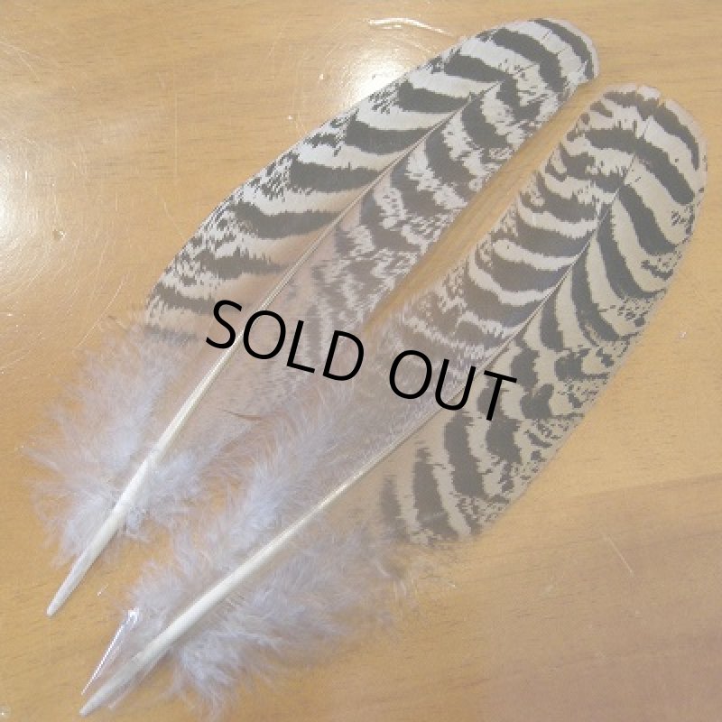 画像1: ピーコッククイルMINI MLサイズ   (1)