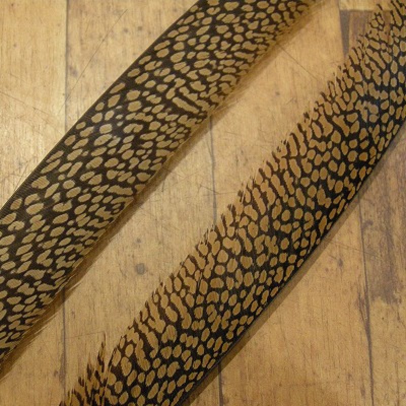 画像2: Golden Pheasant Tail 1ペア AAA2  