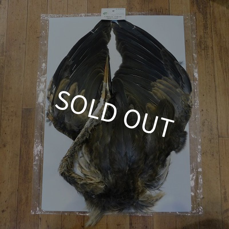 画像1: 【CANAL】 Purple Heron Immature (1)