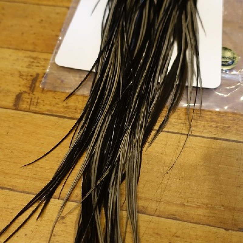 画像2: 【WHITING】 Hebert Bronze Grade Rooster Saddle Black #14