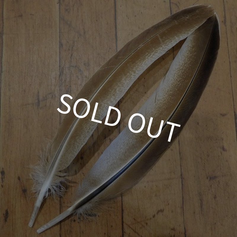 画像1: 【CANAL】 TURKEY QUILL Cinamon No.1   (1)