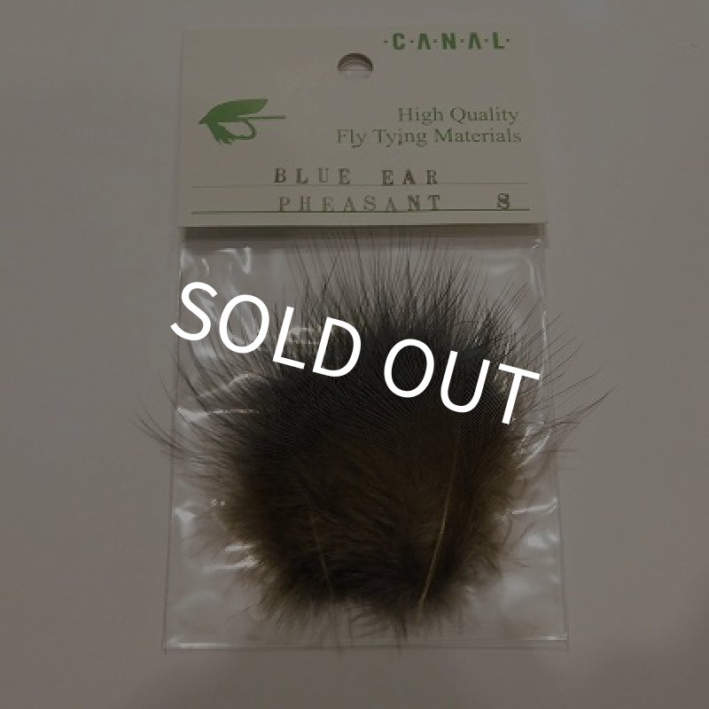 画像1: 【CANAL】 Blue Eared Pheasant Sサイズ (1)