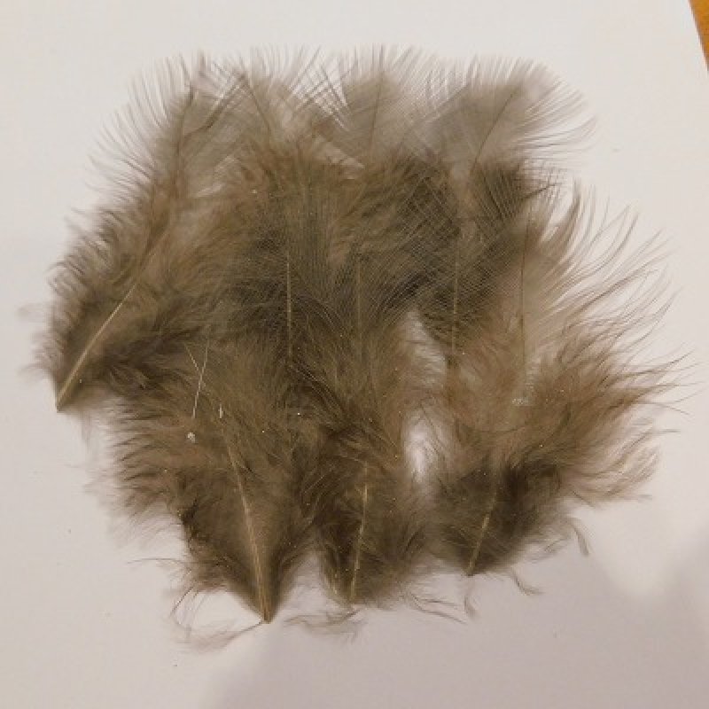 画像2: 【CANAL】 Blue Eared Pheasant Mサイズ  