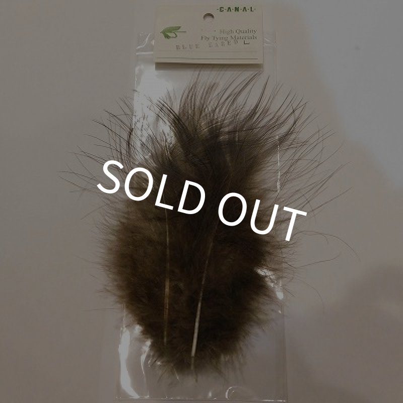 画像1: 【CANAL】 Blue Eared Pheasant Lサイズ   (1)