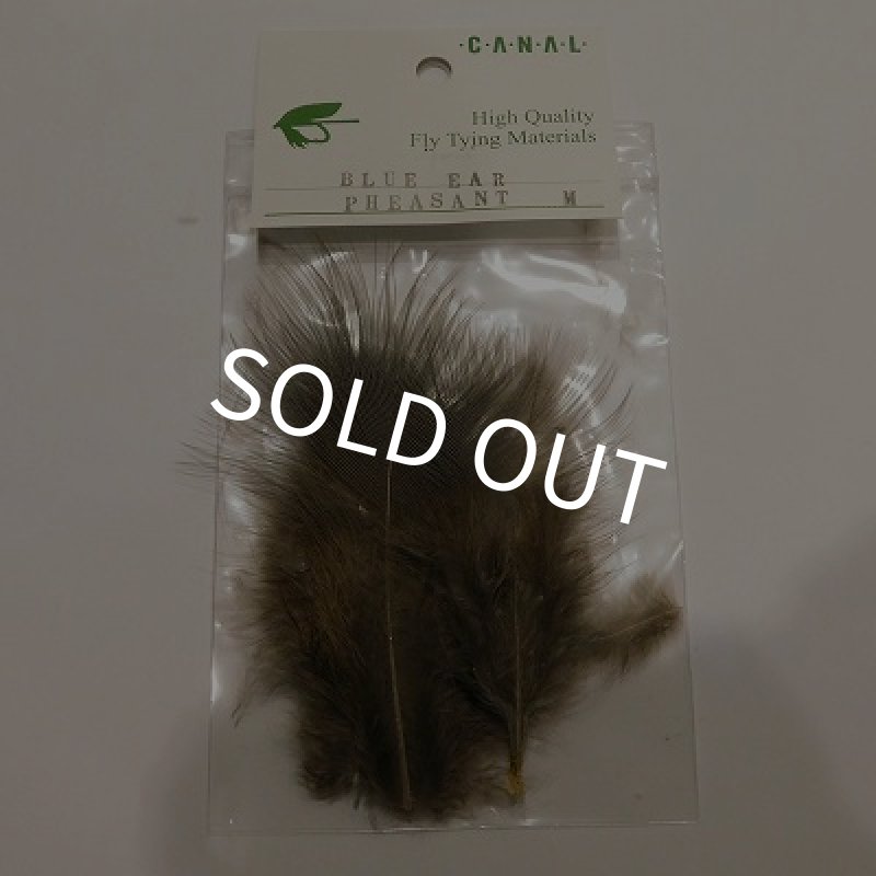 画像1: 【CANAL】 Blue Eared Pheasant Mサイズ   (1)