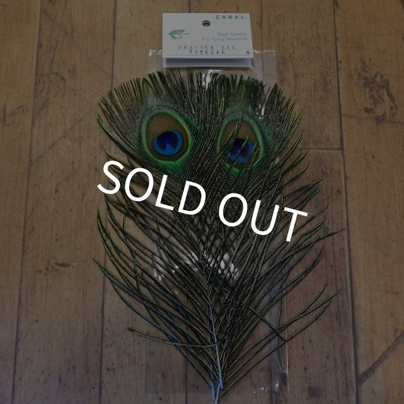 画像1: 【CANAL】 Peacock Eye Natural Sサイズ (1)