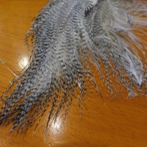 画像3: 【HARELINE】Fine Black Barred Marabou