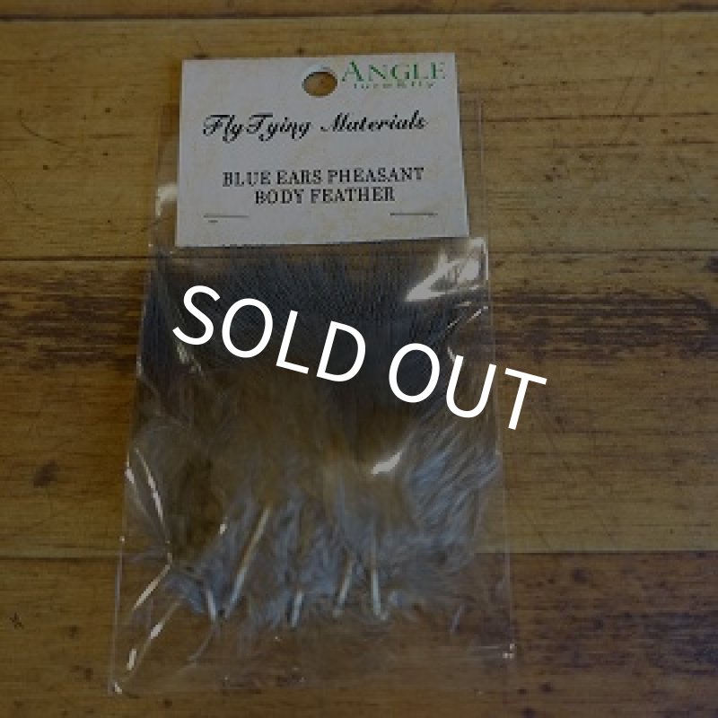 画像1: 【ANGLE】 BLUE EARED PHEASANT　BODY FEATHER (1)
