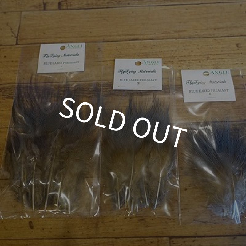 画像1: 【ANGLE】 BLUE EARED PHEASANT (L) (M) (S) サイズ (1)