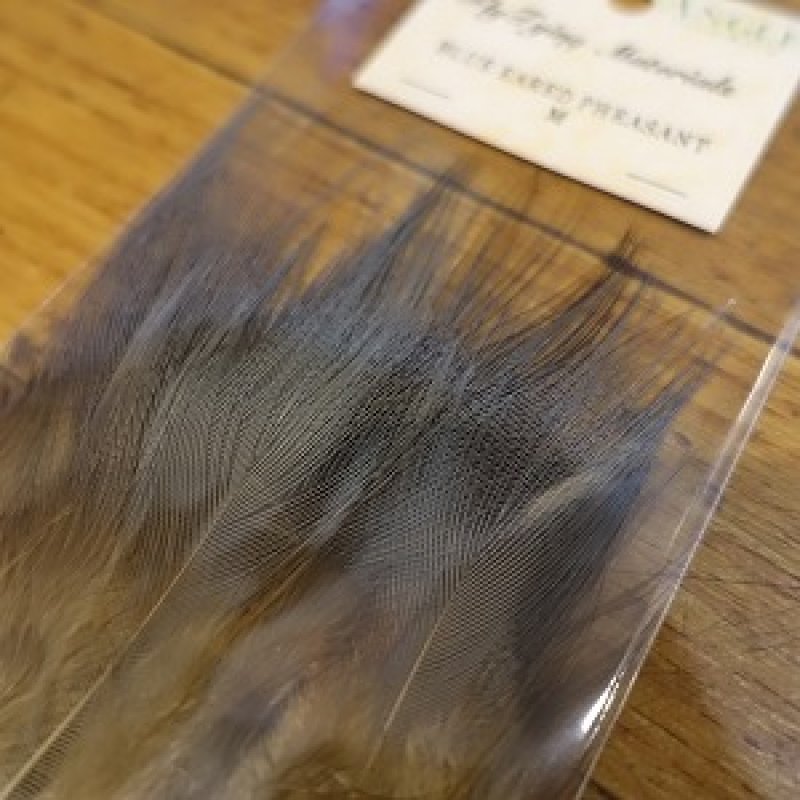 画像2: 【ANGLE】 BLUE EARED PHEASANT (L) (M) (S) サイズ