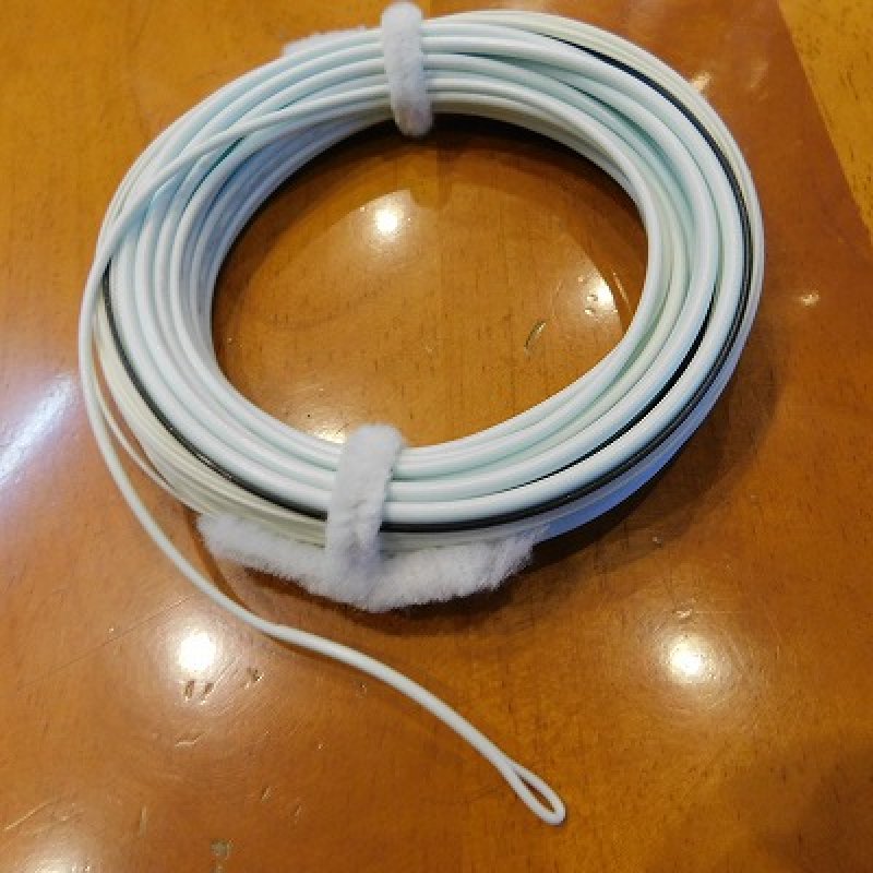 SA】 スペイライト スカジット インテグレーテッド